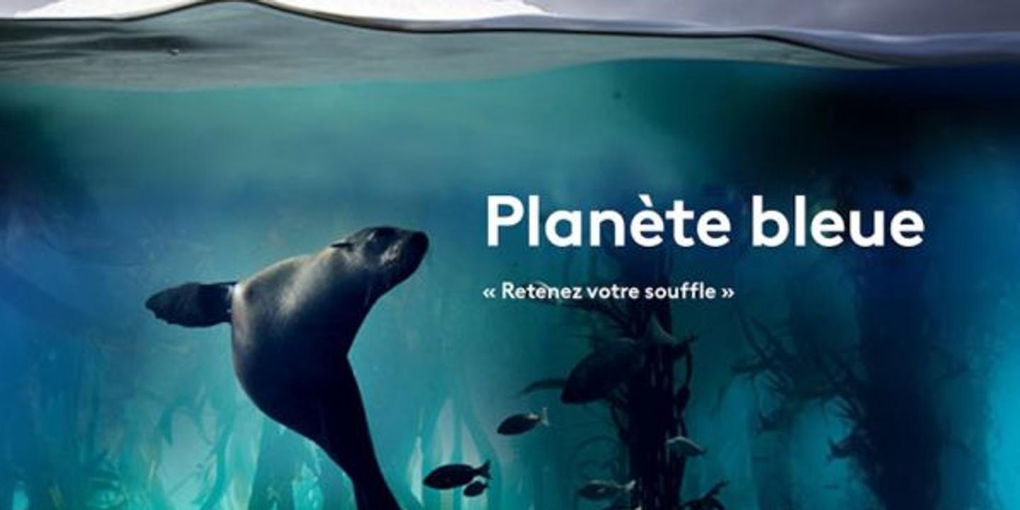 Tv Planete Bleue Voyage Au Cœur Des Oceans
