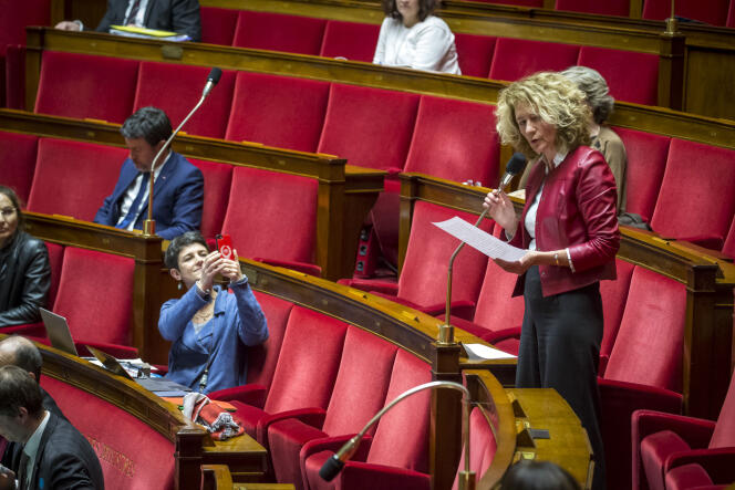 Delphine Bagarry (à gauche) et Martine Wonner (au micro) à l'Assemblée nationale, le 15 février.