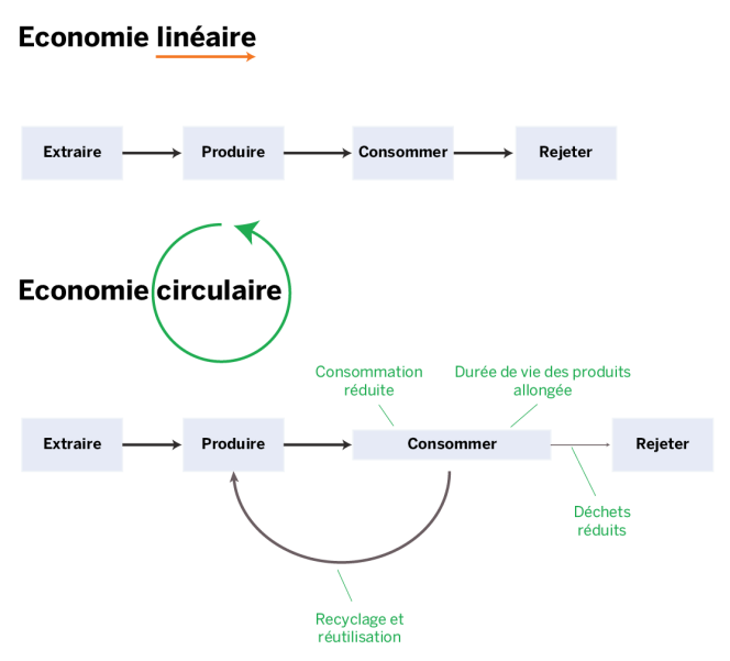 La différence entre l'économie linéaire et l'économie circulaire.
