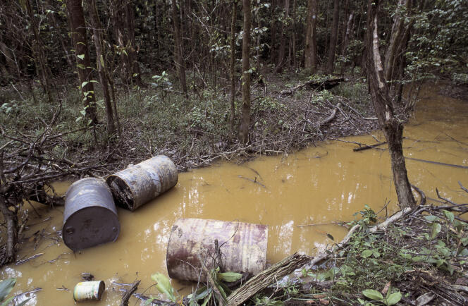 « Que dire du processus prévu d’extraction de l’or par l’utilisation du cyanure, en pleine forêt amazonienne ? La lecture du rapport du Bureau de recherches géologiques et minières consacré à ce sujet fait frémir  » (Fûts de produits toxiques sur un site d'orpaillage illégal).