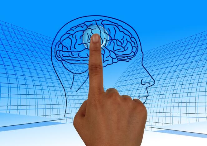 « Le cognitivisme n’est pas sans arrière-pensée, puisqu’il part du postulat que la pensée peut se réduire au traitement d’informations et que l’imagerie cérébrale permet de constater empiriquement son fonctionnement. »