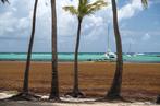 SEPHANE SCOTTO / EPICURIAN Algues brunes toxiques sur la plage de Saint-François (Guadeloupe), le 27 mars.