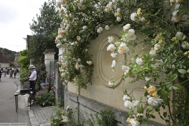 Chaque année, Chédigny organise son Festival des roses, le dernier week-end de mai.
