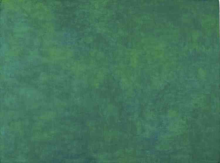 Ellsworth Kelly  découvre « Les Nymphéas » lors d’une rétrospective consacrée à Claude Monet en 1952 à Zurich. Il se rendra ensuite à Giverny pour voir, dans l’atelier même du peintre, ces grands panneaux in situ : Kelly réalisera alors un tableau monochrome, « Tableau vert », hommage à Claude Monet et directement inspiré des « Nymphéas » : une composition unie avec de larges étendues de verts « comme de l’herbe qui bouge sous l’eau ».