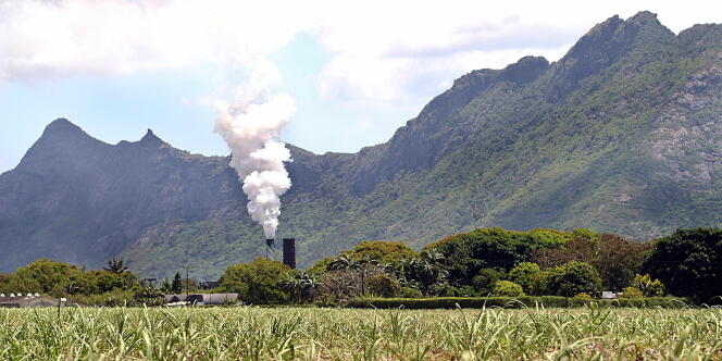 Champ de cannes et usine de sucre à Triolet, dans le nord de l’île Maurice.