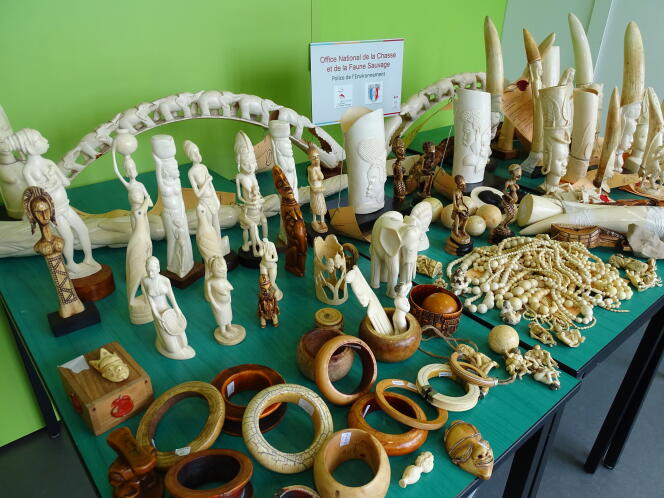 Une partie du stock d’ivoire saisi par l’ONCFS et détruit à Antibes.