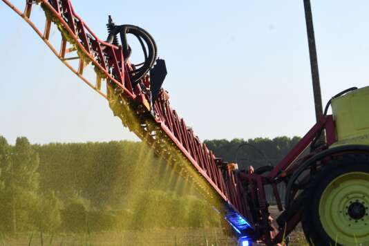 Ependage d’herbicide au glyphosate sur un champ de maïs sans labour à Piacé, dans la Sarthe, le 11 mai.