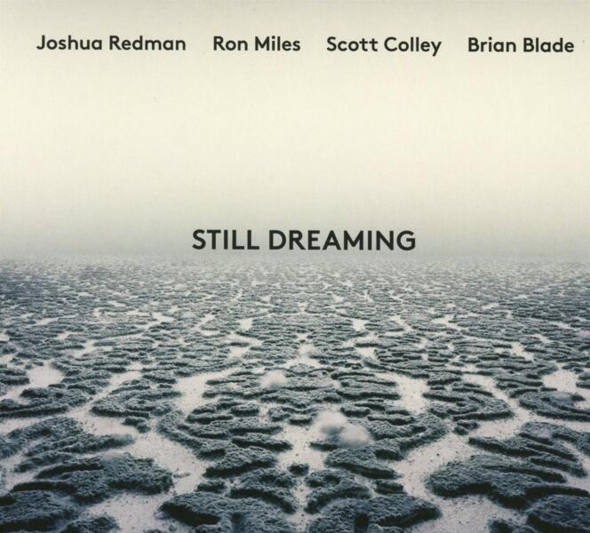 Pochette de l’album « Still Dreaming », de Joshua Redman, Ron Miles, Scott Colley et Brain Blade.