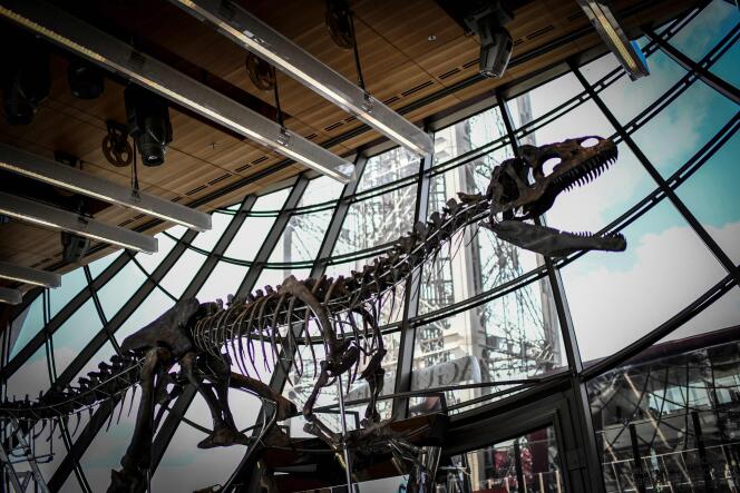 Le squelette d’un dinosaure carnivore a été vendu aux enchères lundi 4 juin au premier étage de la tour Eiffel à Paris.
