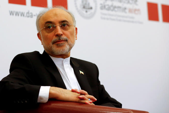 « La pression américaine a mis en sourdine une critique du fonctionnement général de l’Etat iranien, qui s’était exprimée publiquement jusqu’en son sein dans la vague de janvier, au Parlement et dans les ministères » (Le directeur du programme nucléaire iranien, Ali Akbar Salehi, en 2016).