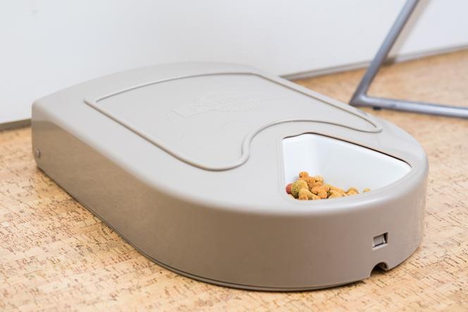 Comparatif Les Meilleurs Distributeurs De Croquettes Pour Animaux