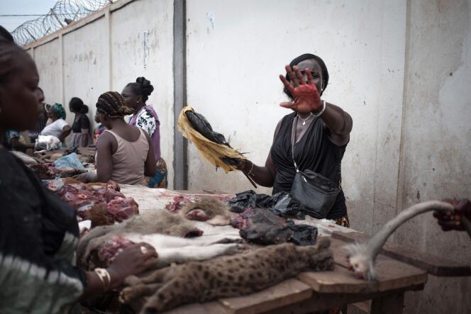 Viande de brousse en vente sur le marché de Bimbo en République Centrafricaine, à la frontière avec la RDC, le 2 juin.