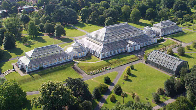 La restauration des serres victoriennes de Kew Gardens, qui viennent de rouvrir au public, aura duré cinq années.