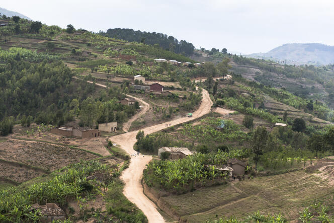 Dans la province de Kayumbu (Rwanda), en 2011.