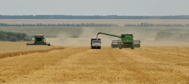 Moissonnage d’un champ de blé dans la région de Stavropol (sud de la Russie).