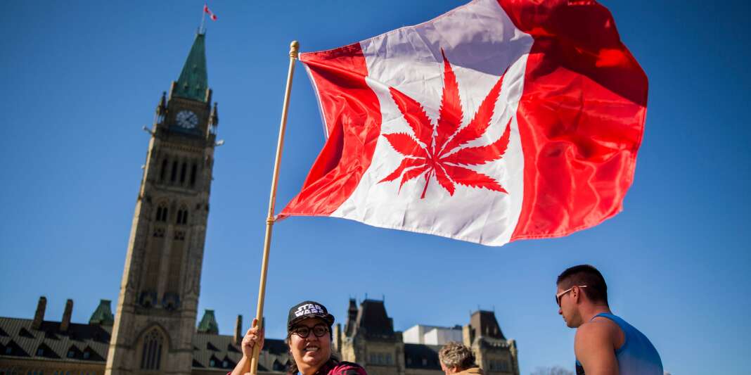 Le texte adopté, mardi 20 juin, met fin à la prohibition du cannabis, en vigueur depuis 1923 au Canada. L’usage à des fins médicales a été autorisé en 2001.