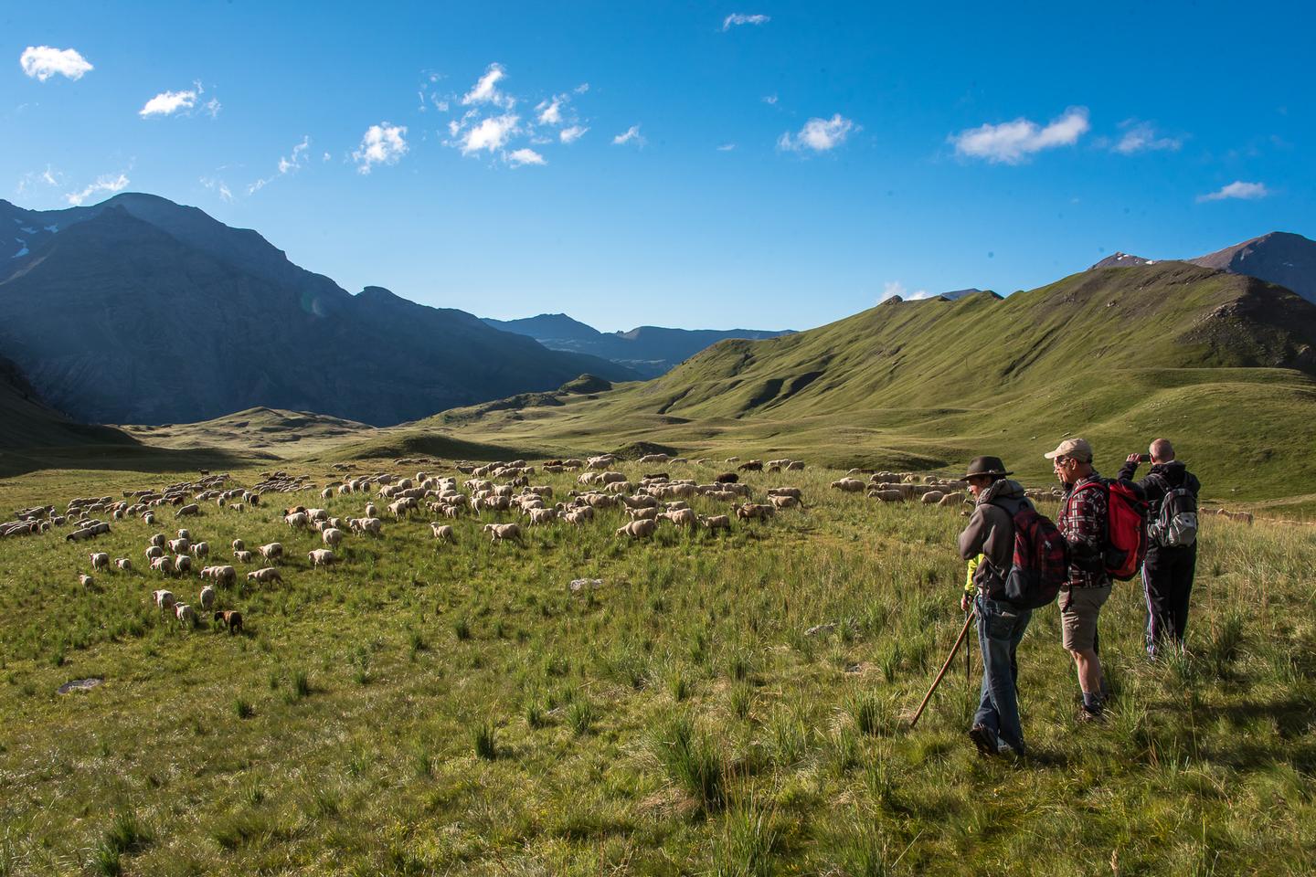 Cinq idées pour aimer la montagne en été