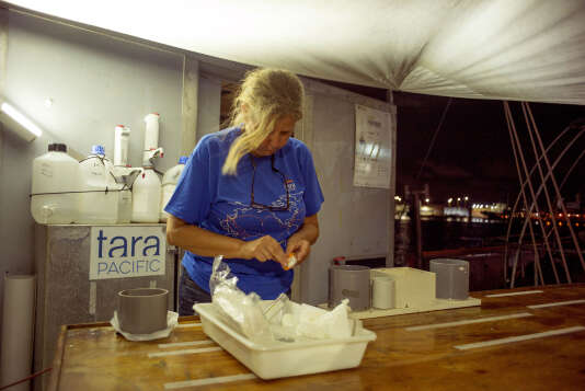 La spécialiste du plastique à l’Observatoire océanologique de Villefranche-sur-Mer, Maria Luiza Pedrotti, prépare son équipement.