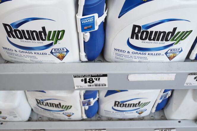 Bidons de désherbant Roundup, produit par la société Monsanto, dans une grande surface de Glendale (Californie), le 19 juin.