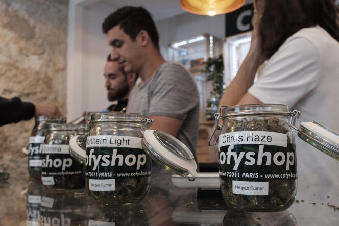 Du chanvre sous forme d’herbes séchées sur le comptoir d’une boutique CBD à Paris, le 14 juin.