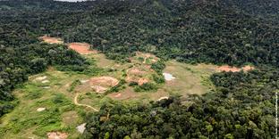 Qu’est-ce que la « Montagne d’or » qui fait polémique en Guyane ?