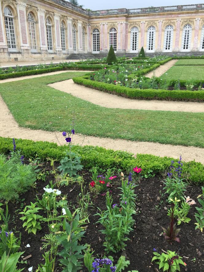 Le fleurissement des parterres a été directement inspiré par la « Vue du Grand Trianon prise des parterres, avec Flore et Zéphyr ».