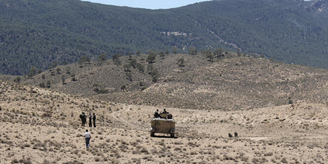 Patrouille de l’armée tunisienne près de la frontière avec l’Algérie, dans la zone du djebel Chaambi, le 11 juin 2013.