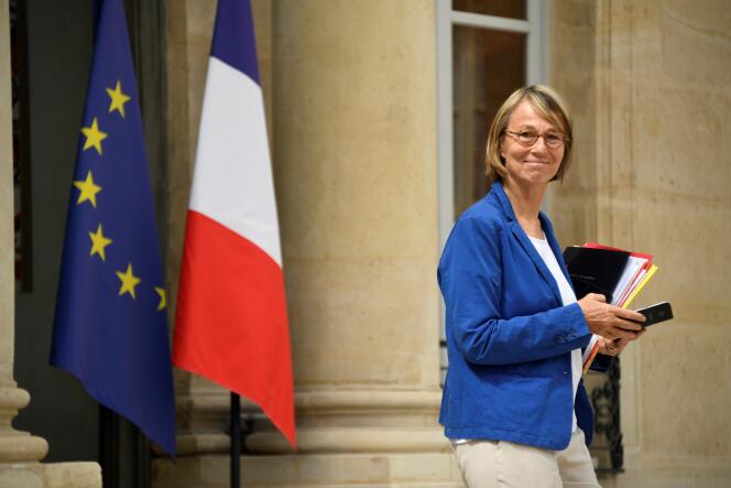 La ministre de la culture, Françoise Nyssen, à l’Elysée, le 11 juillet 2018.