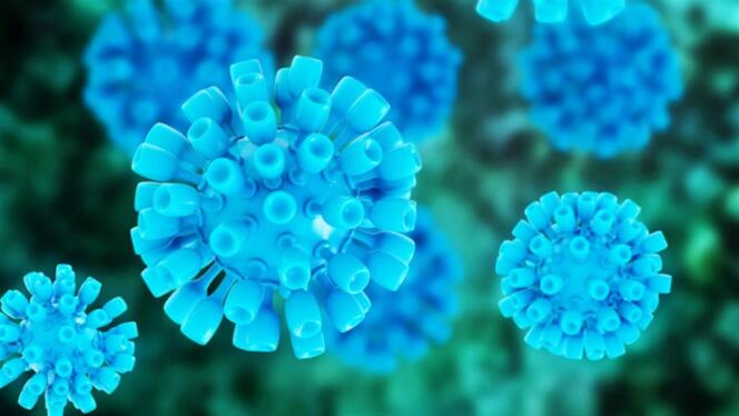 Représentation en 3D du virus de l’hépatite C.