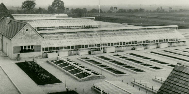 Le Kraütergarten, dans le camp de concentration de Dachau, en Allemagne.