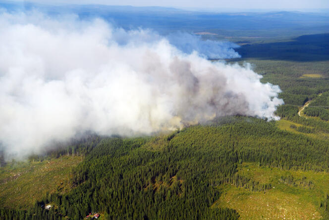 Un incendie près de Ljusdal, dans le centre de la Suède, le 18 juillet.