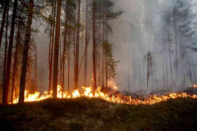 Incendie en Suède le 15 juillet, à Karböle. La Suède reste frappée par une vague d’incendies sans précédent avec, comme ailleurs en Scandinavie, une sécheresse installée depuis le début de mai.