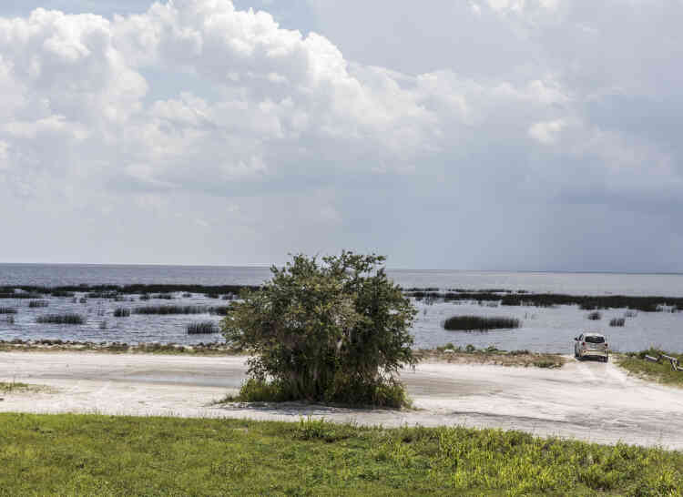 A l’extreme est du lac Okeechobee. L’équilibe des écosystèmes de la Floride est fait d’un subtil équilibre d’eau douce et d’eau salée. Les Américains pêchent dans le lac, pollué aux phosphates par les éleveurs et les producteurs de canne à sucre.