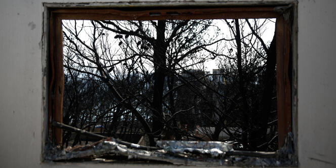Le 27 juillet, des arbres calcinés, à travers une habitation détruite par les flammes, à Mati, la localité la plus touchée par les feux, en Grèce.