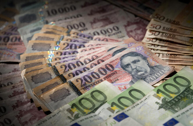 Des forints, la devise nationale hongroise, et des euros, en 2014.