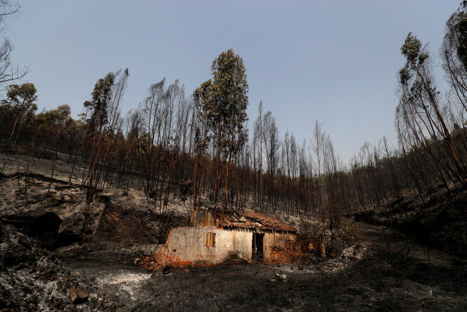 Dans la nuit de lundi à mardi, les flammes se sont approchées de Monchique, dans le sud du Portugal, laissant derrière elles un paysage noirci avec des maisons incendiées.