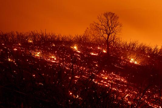   Embers smoldering along the slope after the Ranch Fire, part of the Mendocino Complex Fire, was burned on Cleveland Oaks, California on August 5, 2018. Several thousand people were evacuated after several fires blown over the state, although returning to their homes. / AFP / NOAH BERGER 