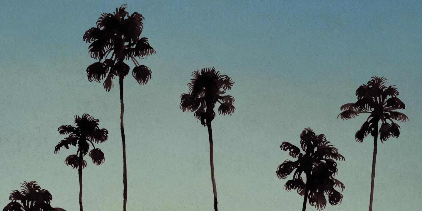 Parmi les palmiers, la résurrection