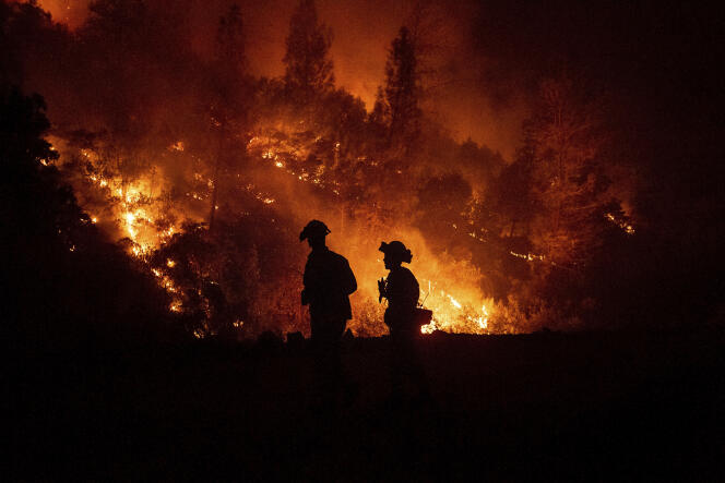 Intervention des pompiers sur le  Mendocino complex fire, près de Ladoga au nord de la Californie, le 7 août.