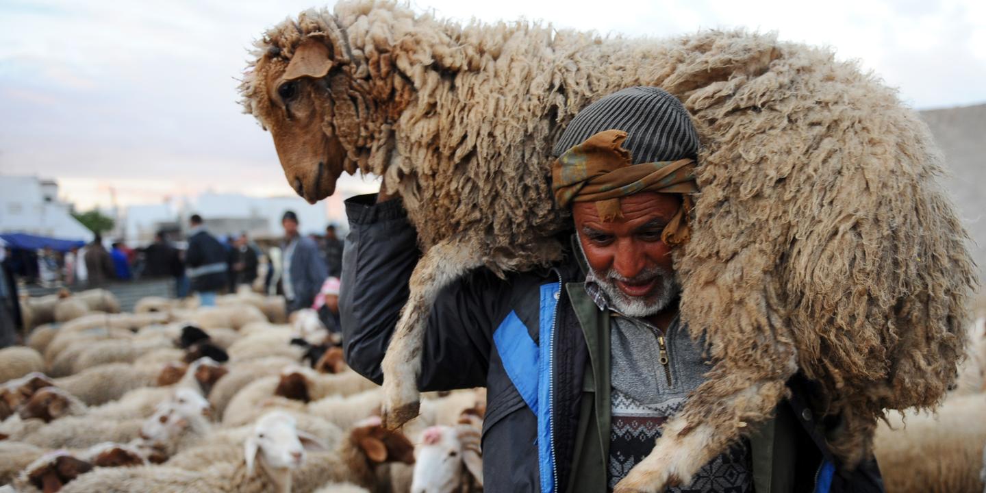 Qu Est Ce Que L Aid El Kebir La Grande Fete Des Musulmans