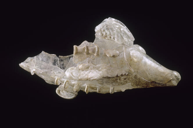 Flacon ichtyomorphe, en forme de poisson, en verre soufflé, Ier siècle, provenant de Syrie ou d’Alexandrie, trouvé parmi les pièces du trésor de Begram.