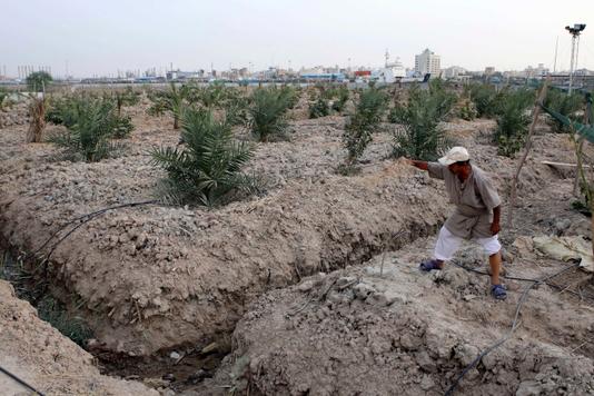 Qassim Sabaan Ali montre sa ferme, qui manque cruellement dâeau, à Siba, dans une région historiquement appelée « le pays entre les deux rivières » : la Mésopotamie.