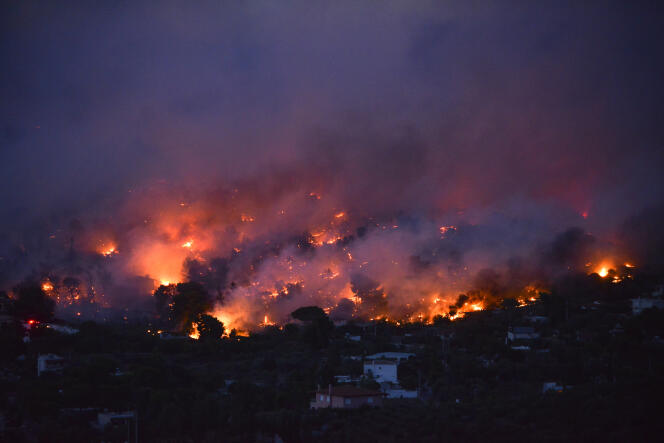 Incendie à Rafina, près d’Athènes, le 23 juillet.