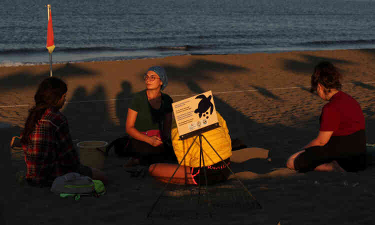Ayfer Sirin, un chercheur du DEKAMER et des volontaires marquent un nid pour protéger les œufs des touristes visitant la plage, le 4 juillet.