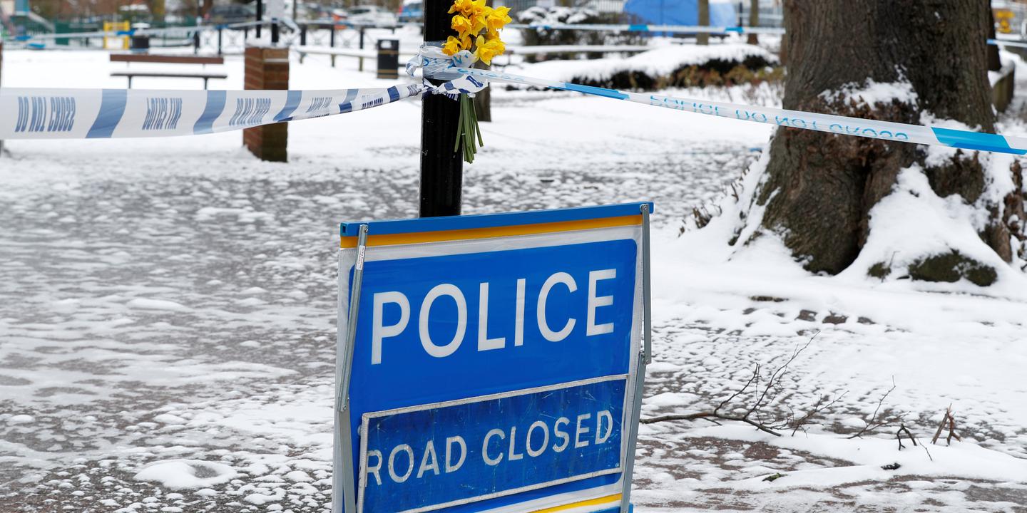 Affaire Skripal Deux Autres Espions Russes Ont Ete Arretes Aux Pays Bas