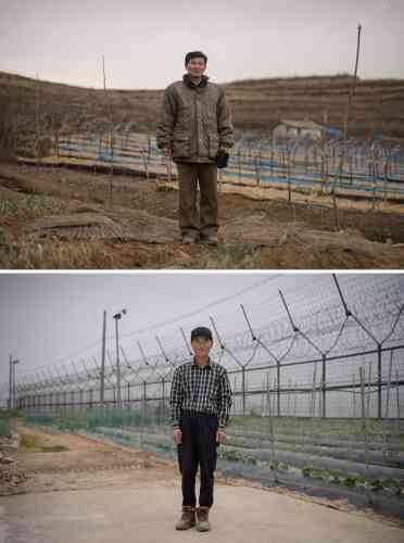 En haut, le directeur de la ferme de ginseng Kim Young-guk dans un champ près de Kaesong. En bas, le fermier Hwang In-suk devant la clôture de la zone démilitarisée (DMZ) dans son arrière-cour sur l’île Gyodong, à l’ouest de Séoul.