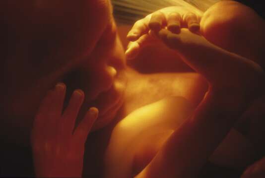 Un foetus met neuf mois à se développer dans le ventre maternel.