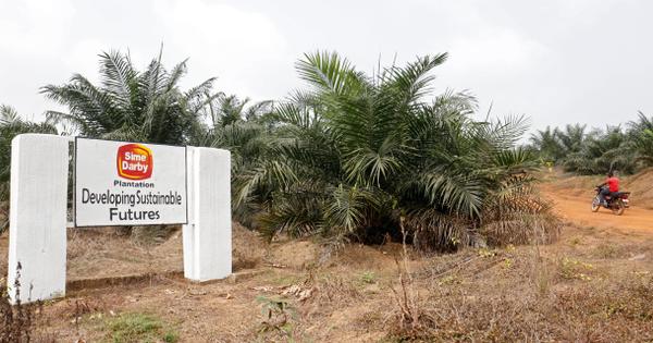 pour-la-réforme-foncière-au-liberia-« le-plus-difficile-commence » pour-la-réforme-foncière-au-liberia-« le-plus-difficile-commence »
