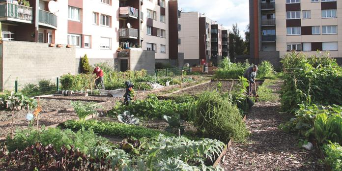 Grande Synthe Victime De La Crise Industrielle Veut Devenir Une Ferme Urbaine
