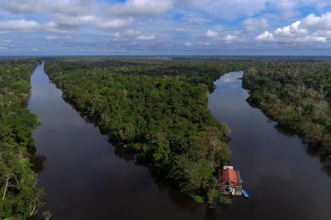 La réserve Mamiraua, au Brésil, est convoitée par le nouveau président du pays pour ses ressources naturelles.